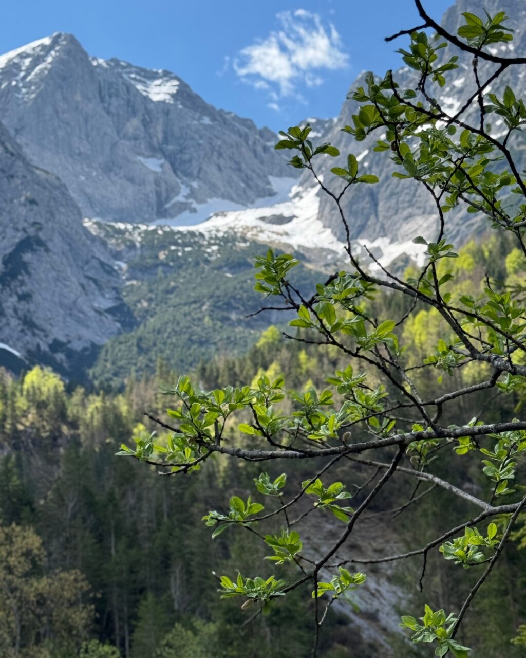 Instagram post from garberlalm. This post is in position 4.